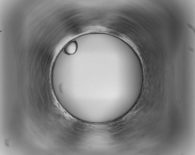 X0000102851488200808181036