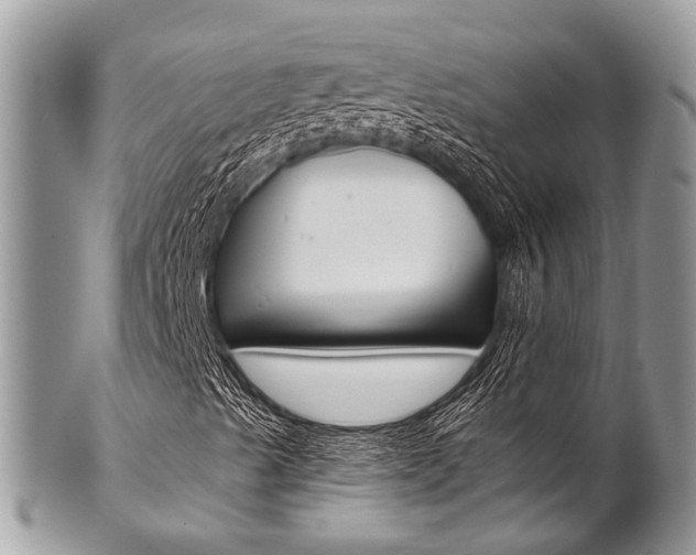 X0000102851489200808181035