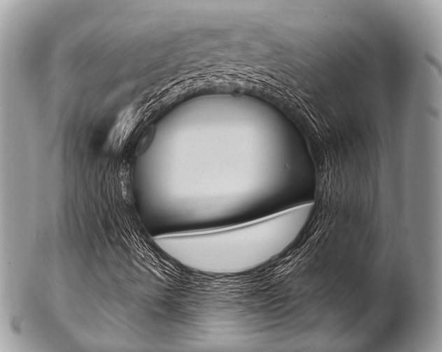 X0000102851490200808181035