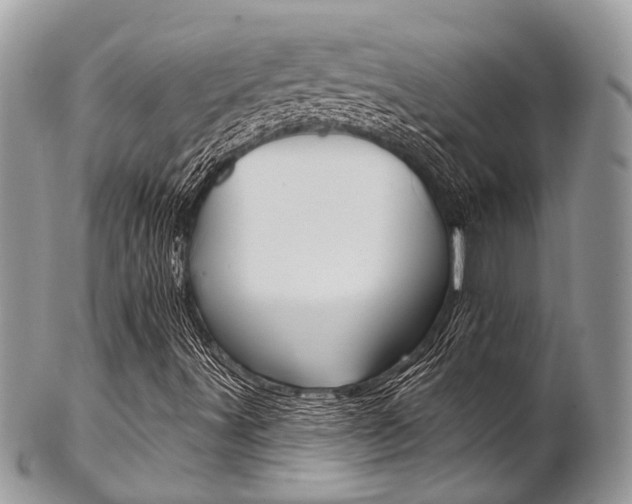 X0000102851491200808181035