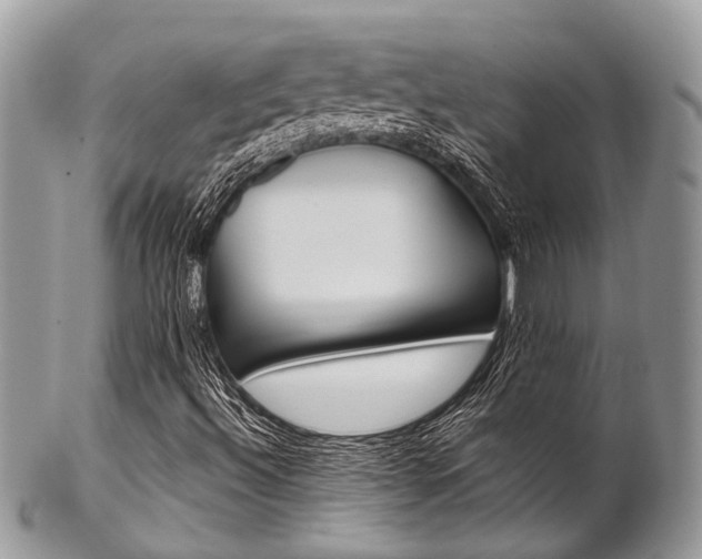 X0000102851492200808181035