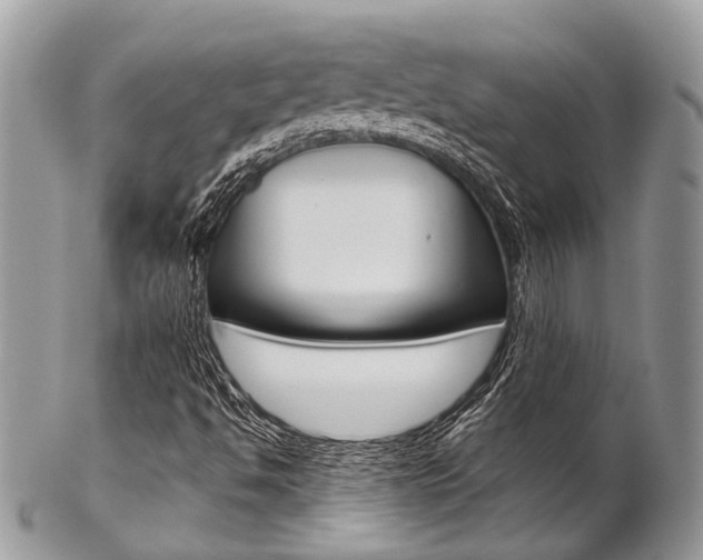X0000102851494200808181035