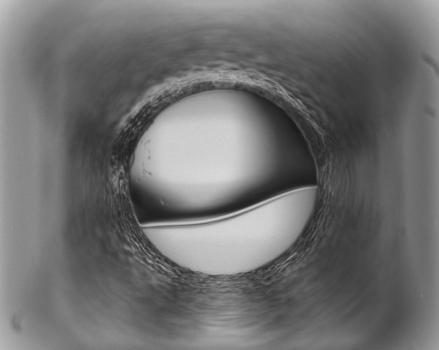 X0000102851495200808181035