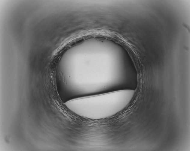 X0000102851496200808181035