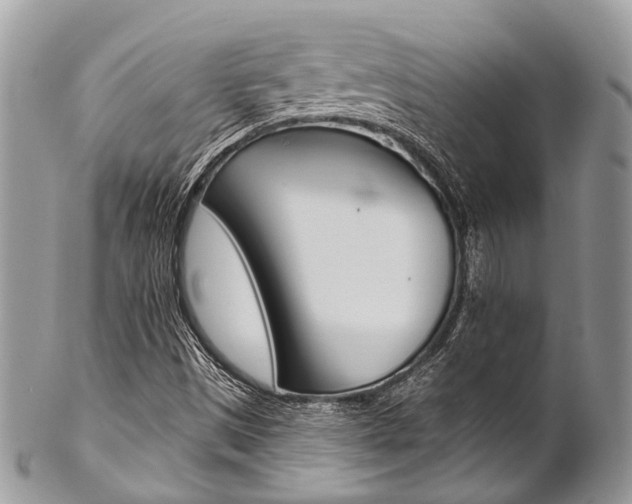 X0000102851497200808181035