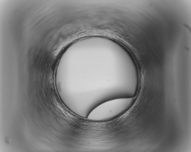 X0000102851498200808181035