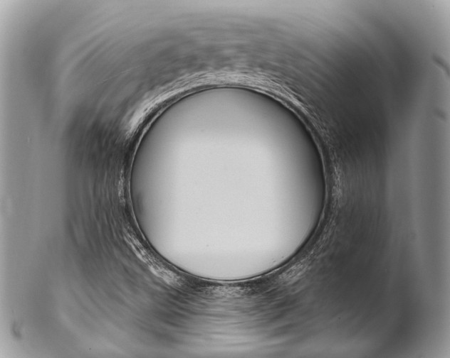X0000102851499200808181035