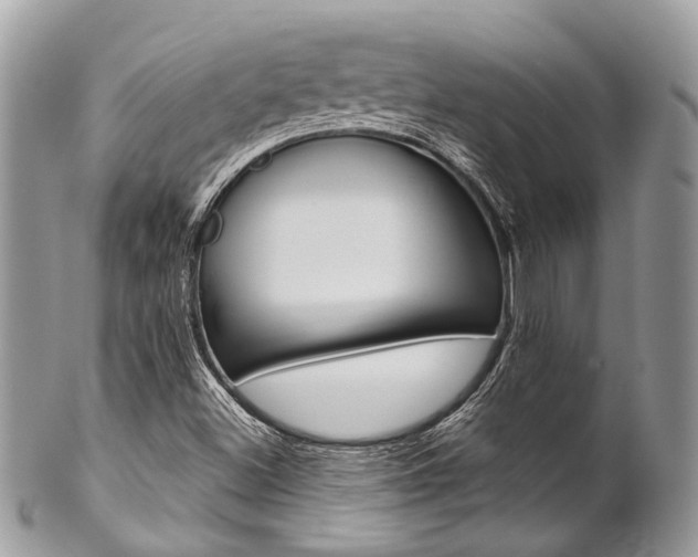 X0000102851500200808181035