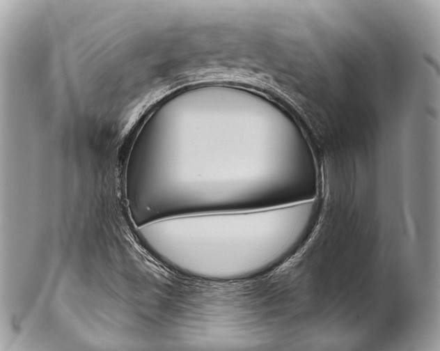 X0000102851501200808181035