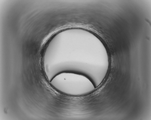 X0000102851502200808181035