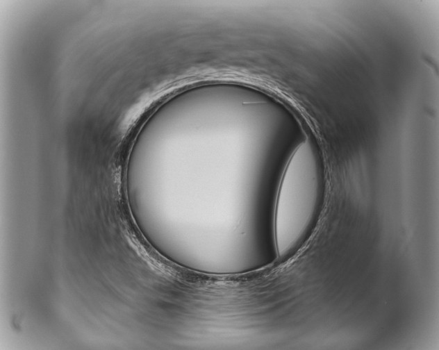 X0000102851503200808181035