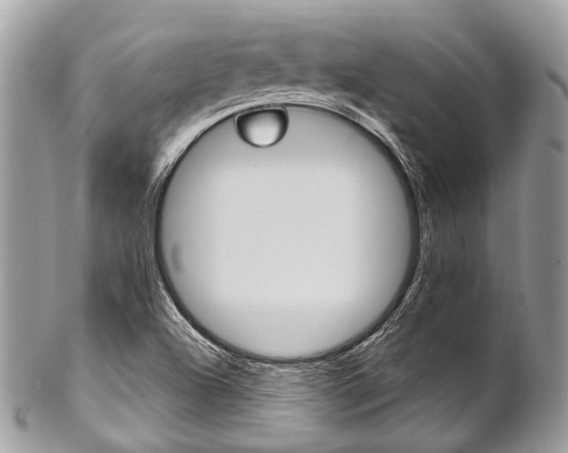 X0000102851504200808181035