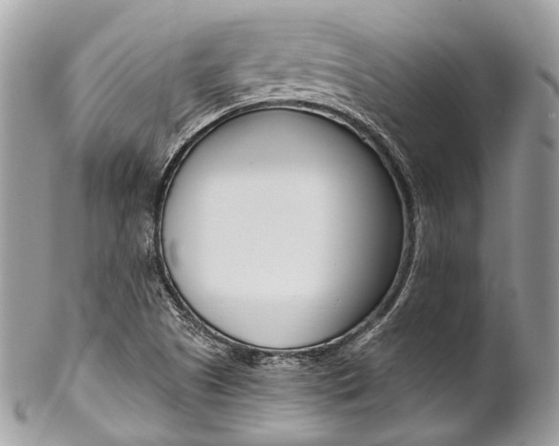 X0000102851505200808181035