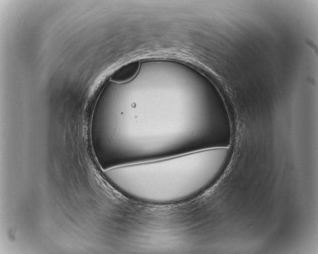 X0000102851506200808181035