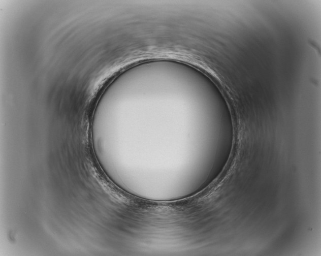 X0000102851507200808181035