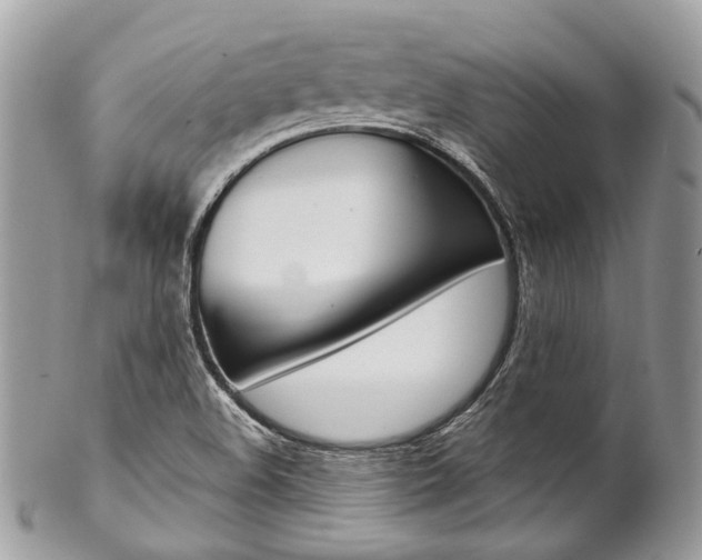 X0000102851508200808181035