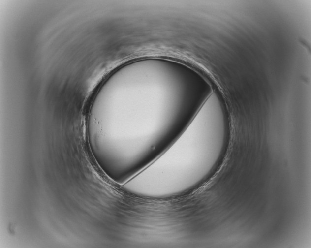 X0000102851509200808181035