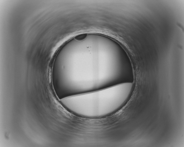 X0000102851510200808181036