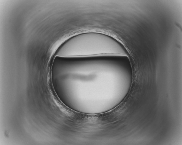 X0000102851511200808181036
