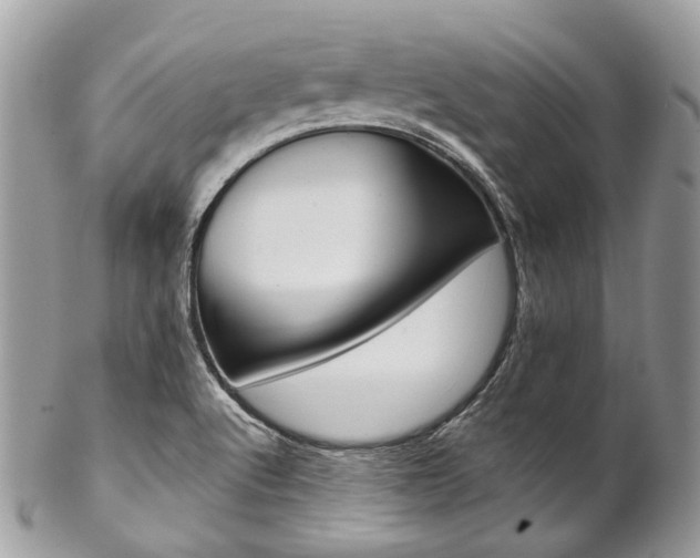 X0000102851512200808181036