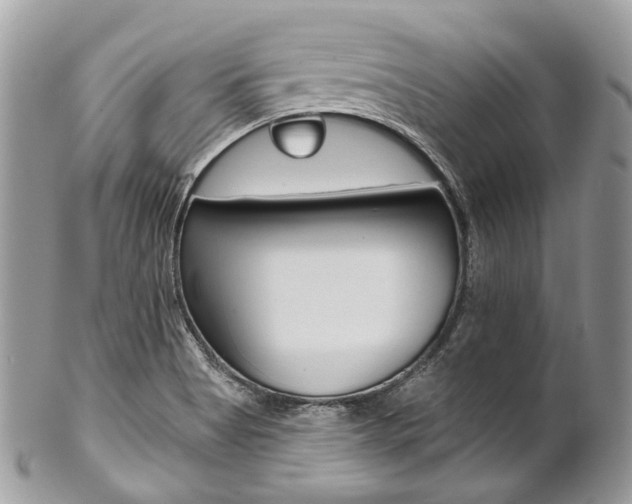 X0000102851513200808181036