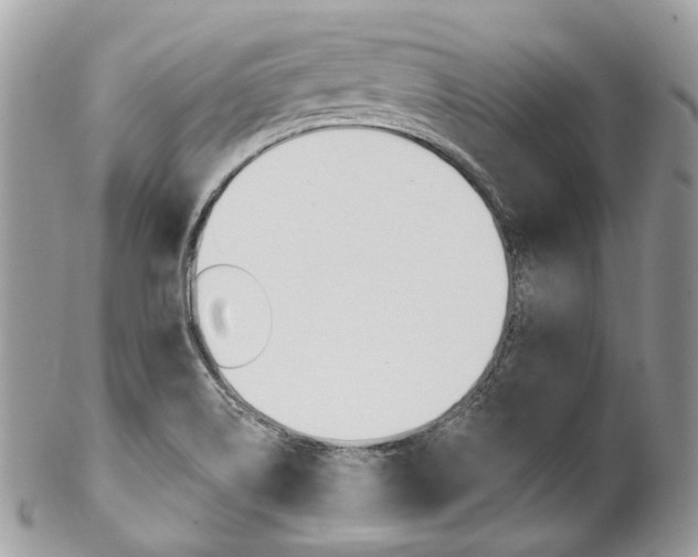 X0000102851514200808181036