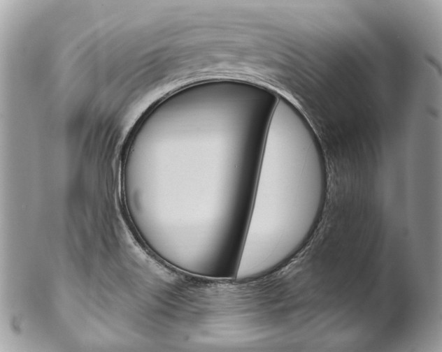 X0000102851515200808181036