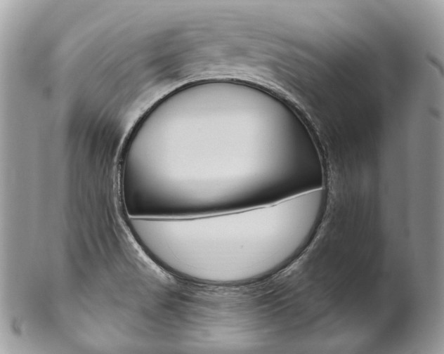 X0000102851517200808181036