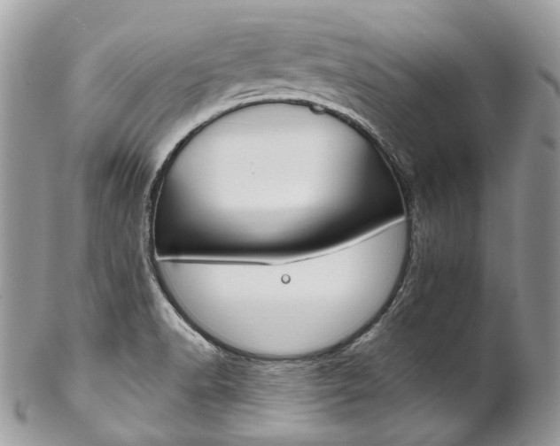 X0000102851518200808181036