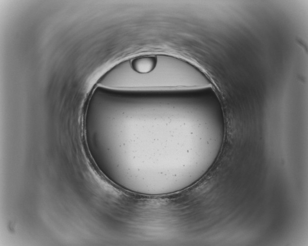 X0000102851519200808181036