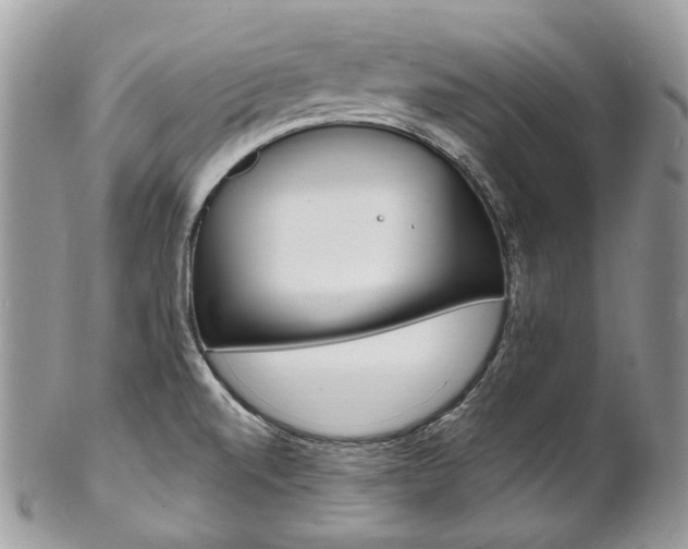 X0000102851520200808181036