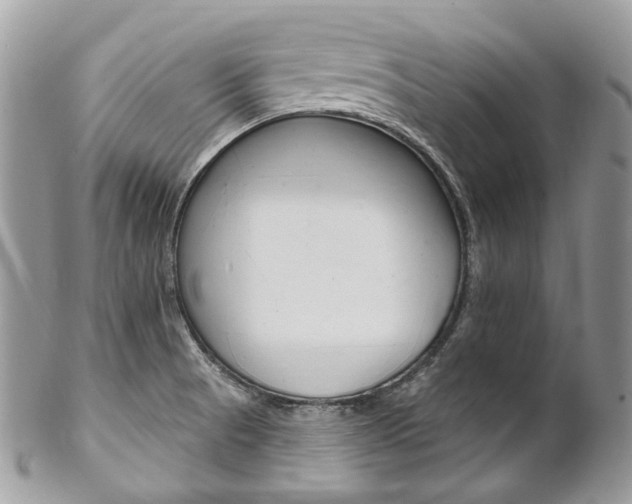 X0000102851521200808181036