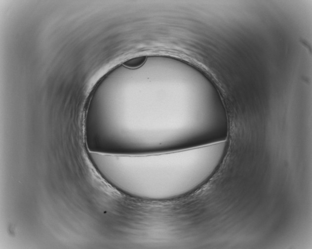 X0000102851522200808181036