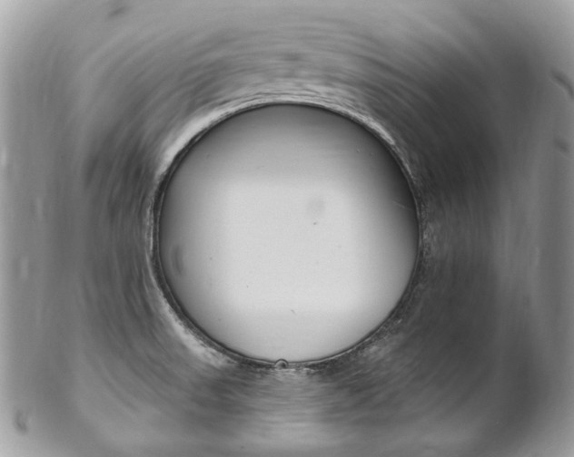 X0000102851523200808181036