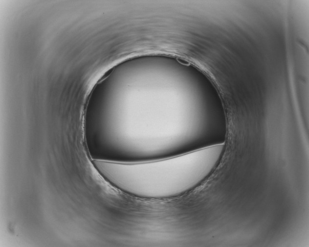 X0000102851524200808181036