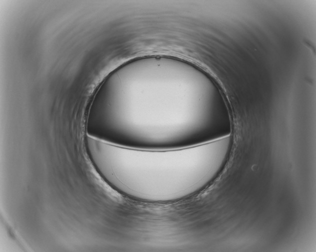 X0000102851525200808181036