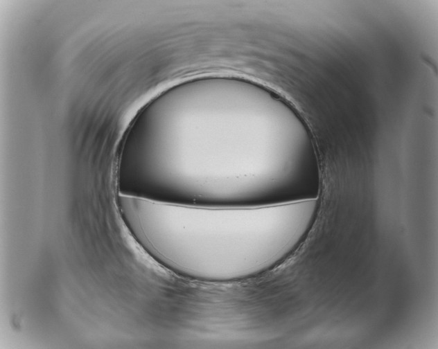 X0000102851526200808181036