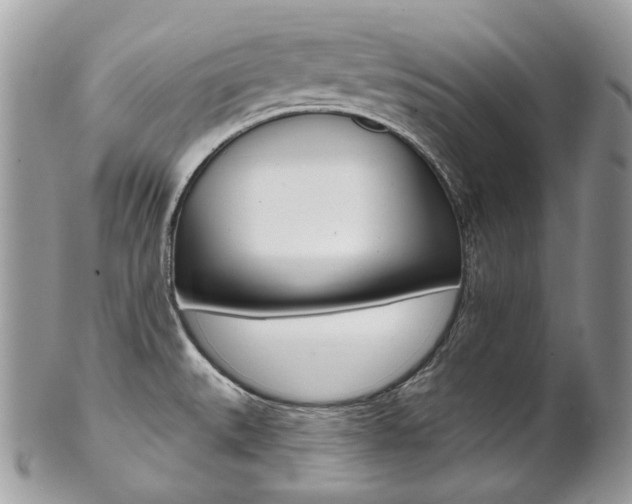X0000102851527200808181036