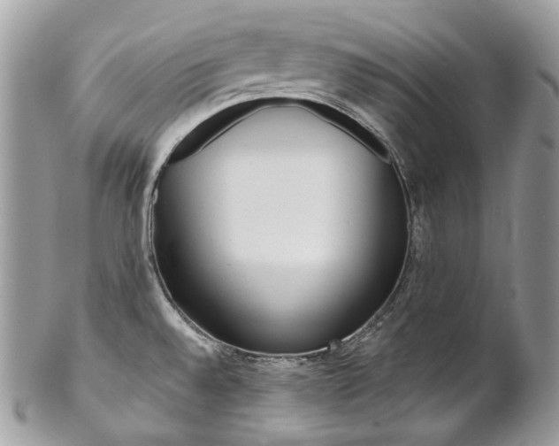 X0000102851528200808181036