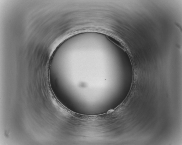 X0000102851530200808181036