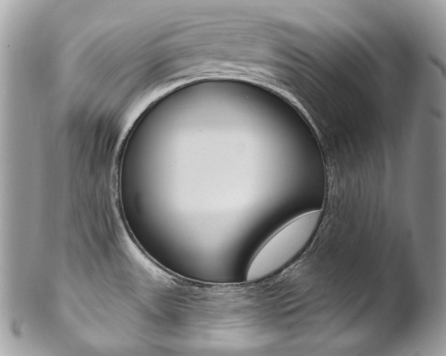 X0000102851531200808181036