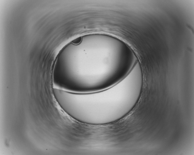 X0000102851534200808181036