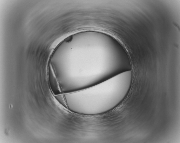 X0000102851535200808181036