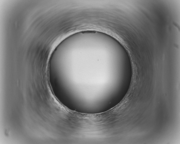 X0000102851536200808181036