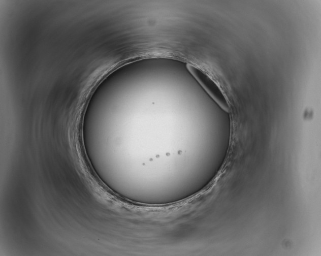 X0000102850001200808181428