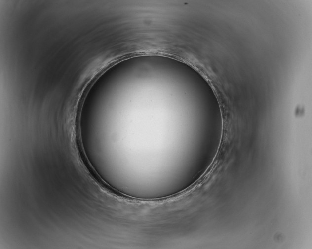 X0000102850002200808181428