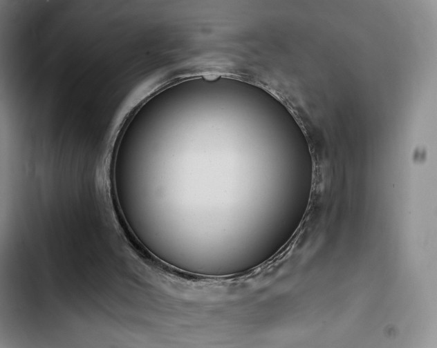 X0000102850004200808181428