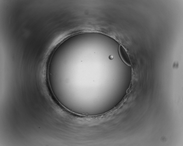 X0000102850005200808181428