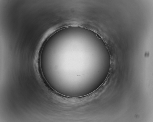 X0000102850006200808181428