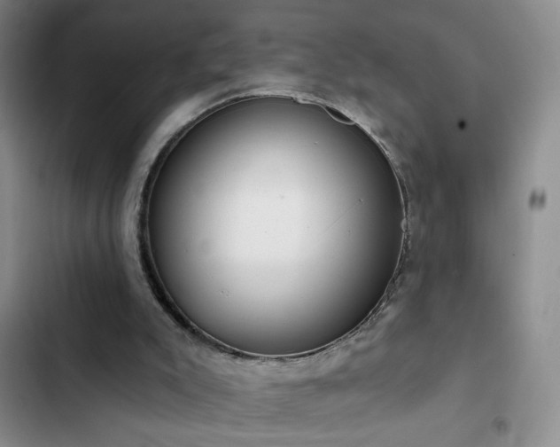 X0000102850007200808181428